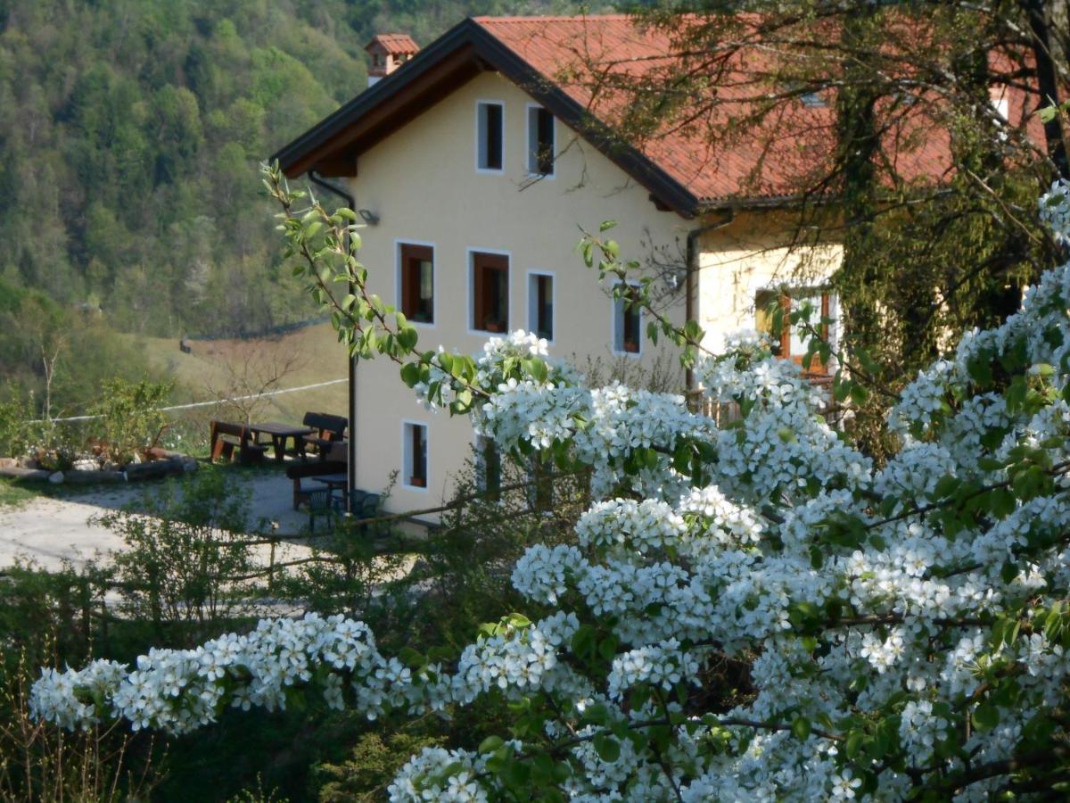 Villa Agriturismo La Casa Nei Boschi Colderu Exterior foto