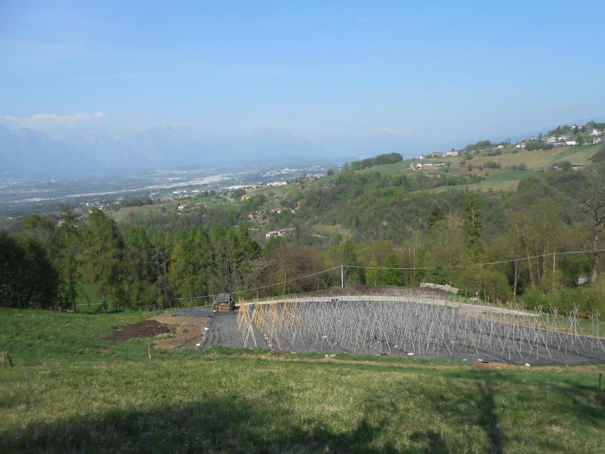 Villa Agriturismo La Casa Nei Boschi Colderu Exterior foto