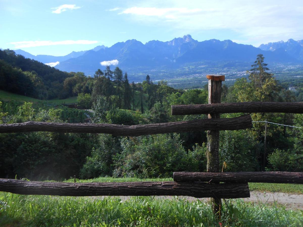 Villa Agriturismo La Casa Nei Boschi Colderu Exterior foto