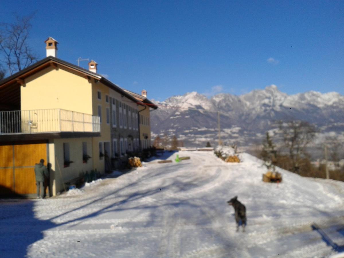 Villa Agriturismo La Casa Nei Boschi Colderu Exterior foto