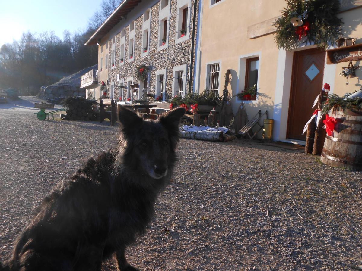 Villa Agriturismo La Casa Nei Boschi Colderu Exterior foto